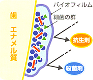 お口のトラブルのもと「バイオフィルム」を除去しましょう